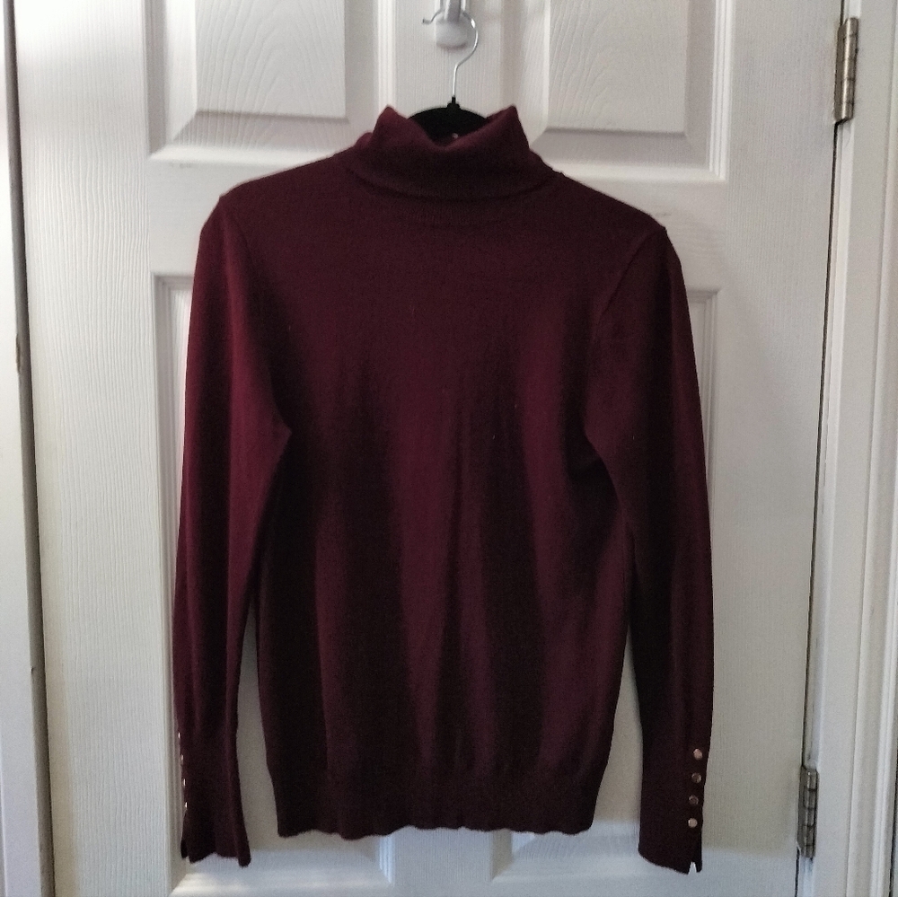Zara Turtleneck Sweater